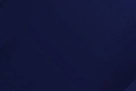 2025和平精英香港邀请赛落幕 深圳WBG力压群雄强势夺冠